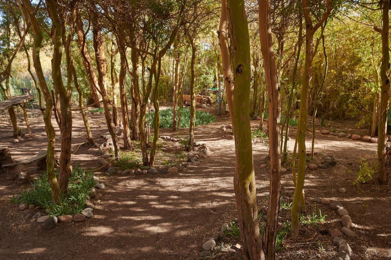 בית הארחה סן פדרו דה אטקאמה 	Casa Chincol מראה חיצוני תמונה
